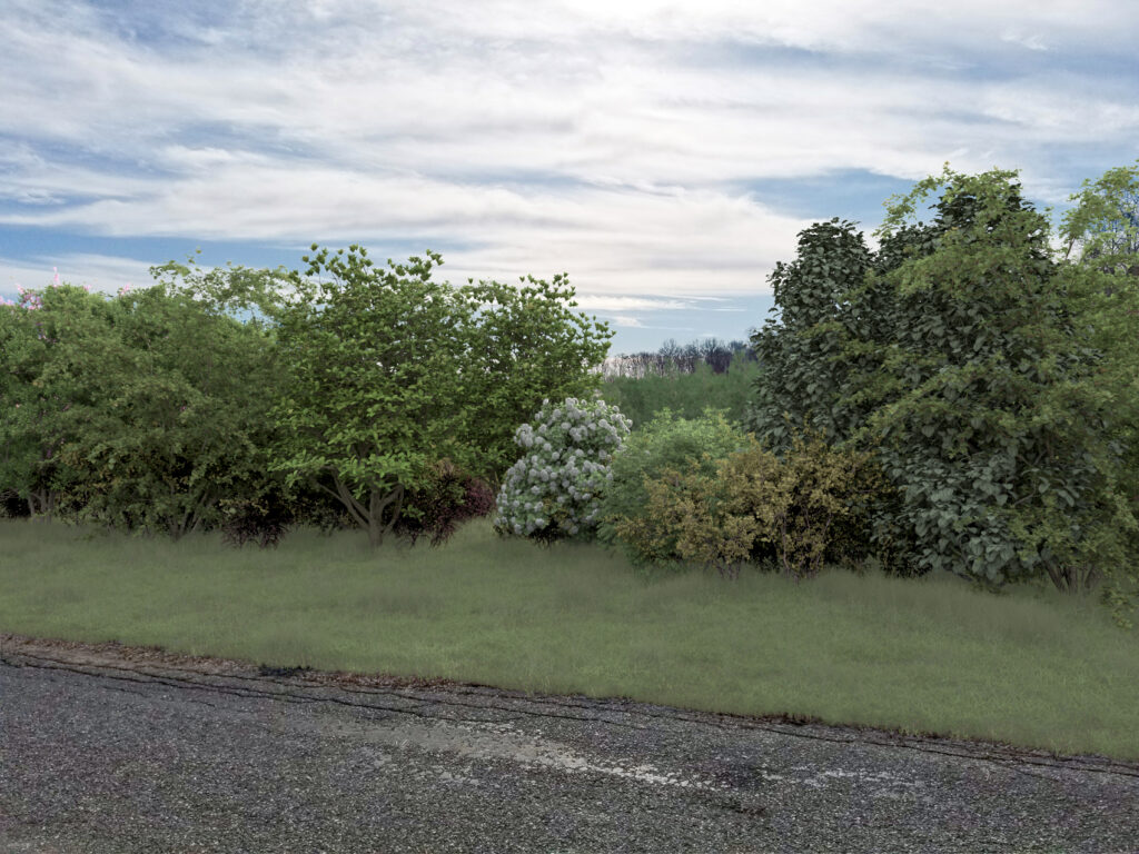 CC Solar Vantage Pt2 at 10Yr