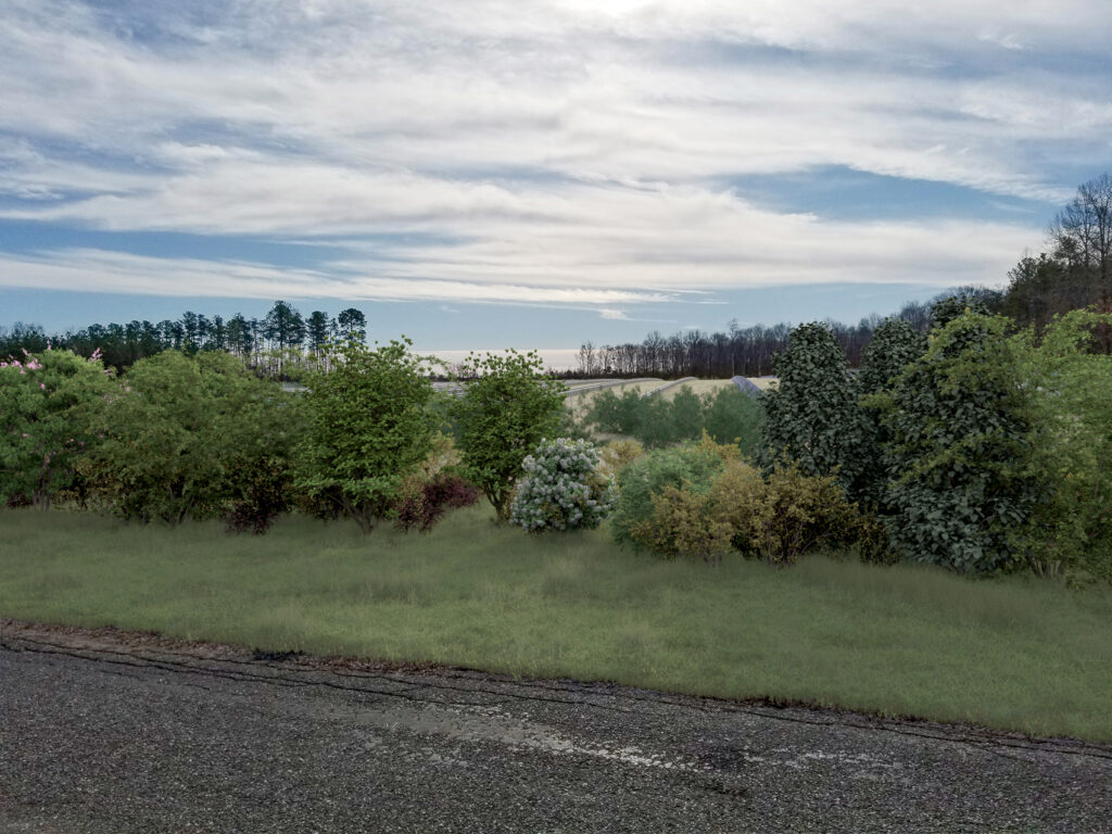 CC Solar Vantage Pt2 at 5Yr